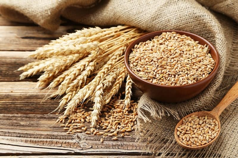 benefits-of-eating-wheat-healthunbox