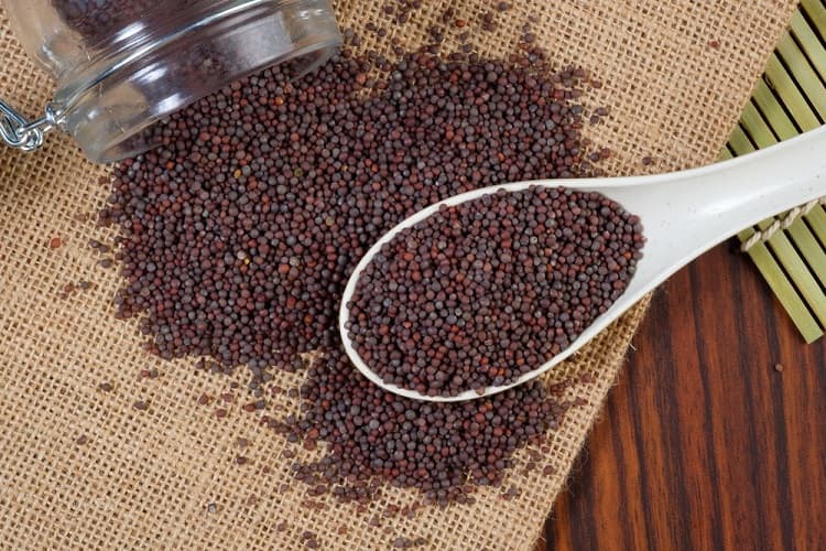 mustard-seeds-benefits-in-hindi