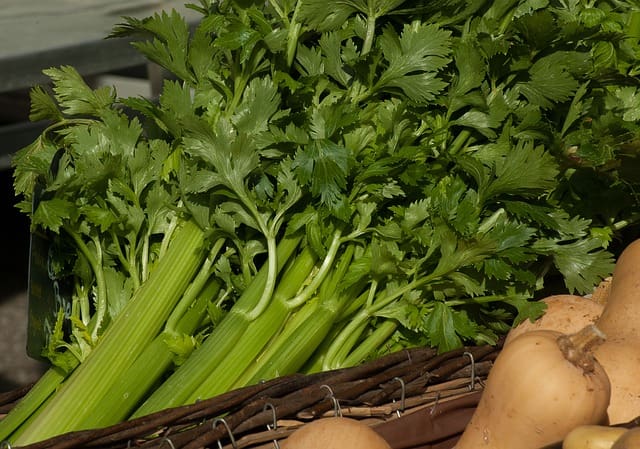 अजम द क फ यद ग ण और न कस न Celery Ajmod Benefits Side Effects