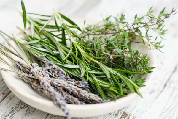 rosemary-benefits-and-side-effects-in-hindi