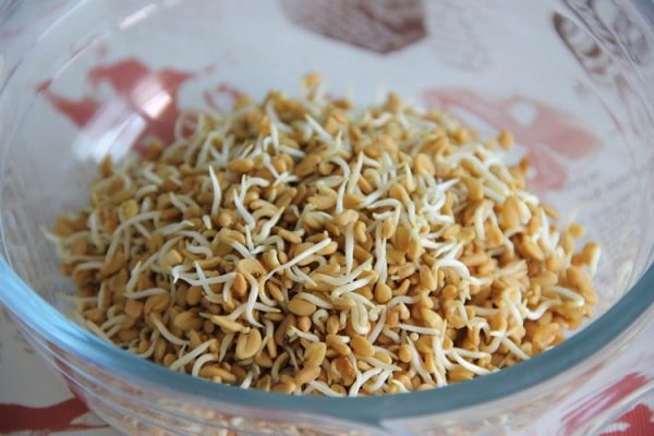 fenugreek-sprouts-benefits-and-side