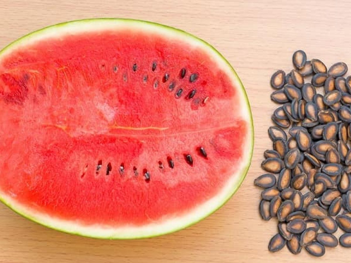 तरब ज क ब ज ल भ और स इड इफ क ट Watermelon Seed Benefits And Side Effects In Hindi