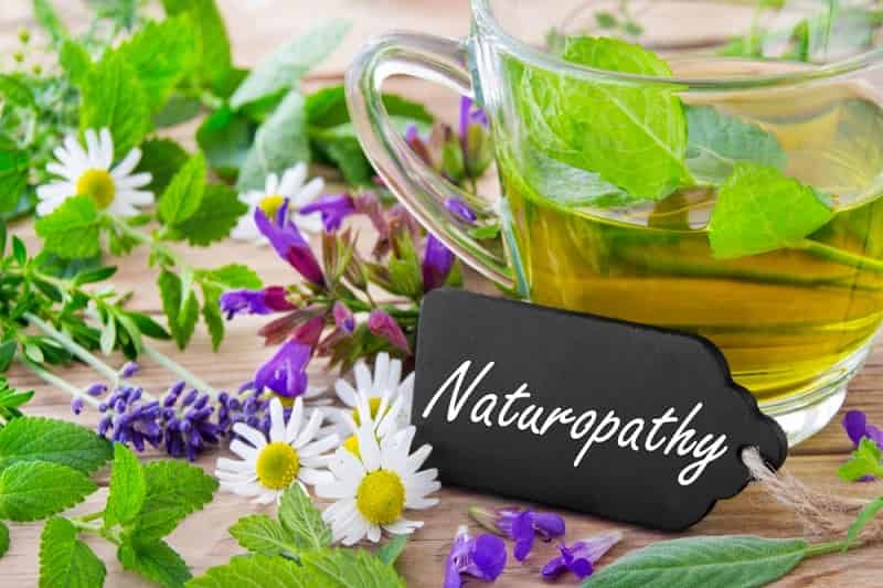 नेचुरोपैथी क्या है - Naturopathie kya hai in het Hindi