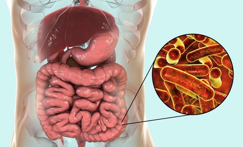 What Is Colon Infection In Hindi